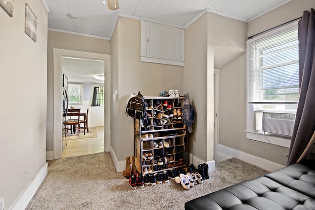 512 Monroe Ave, Moberly, MO 65270 - wine room with ornamental molding, carpet floors, cooling unit, and baseboards