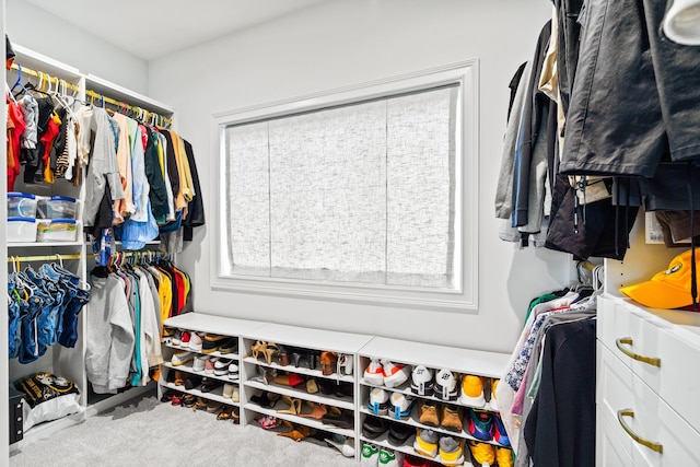 walk in closet featuring carpet flooring