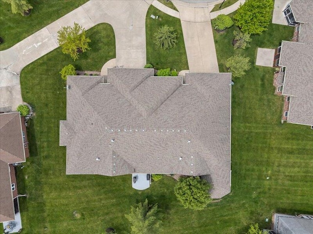 bird's eye view