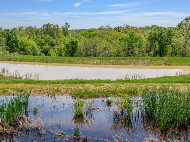 TBD Highway Ee, Wooldridge, MO 65287