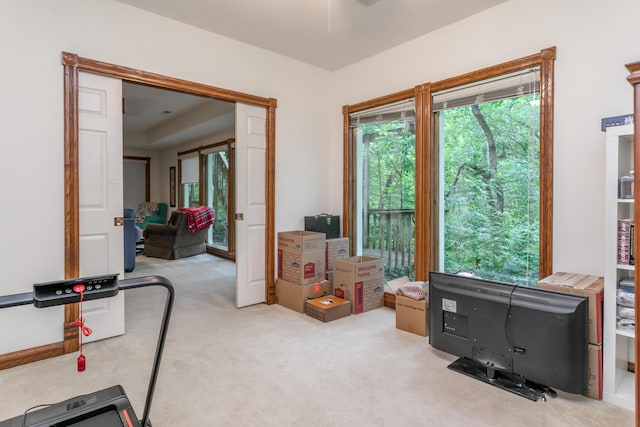 2105 Oak Point Ct, Columbia, MO 65203 - workout area with carpet flooring
