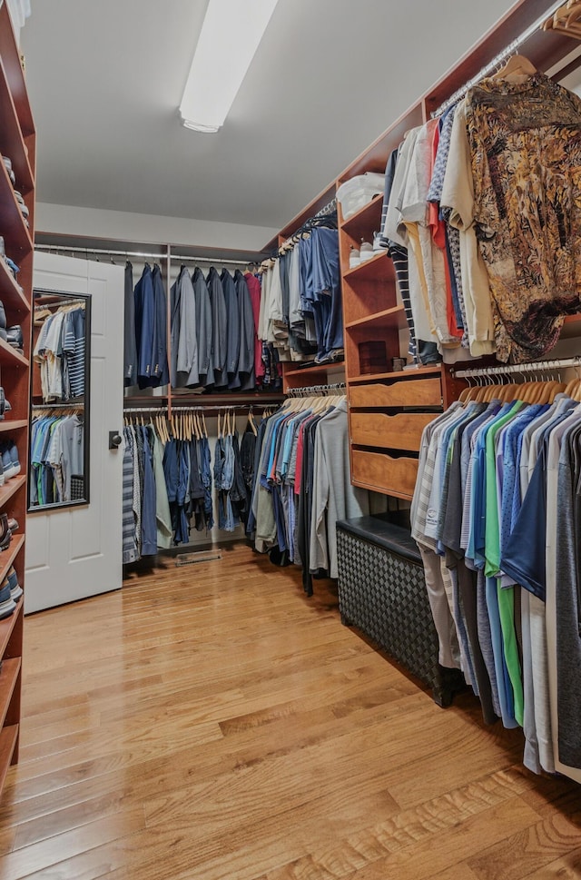 spacious closet featuring light wood finished floors