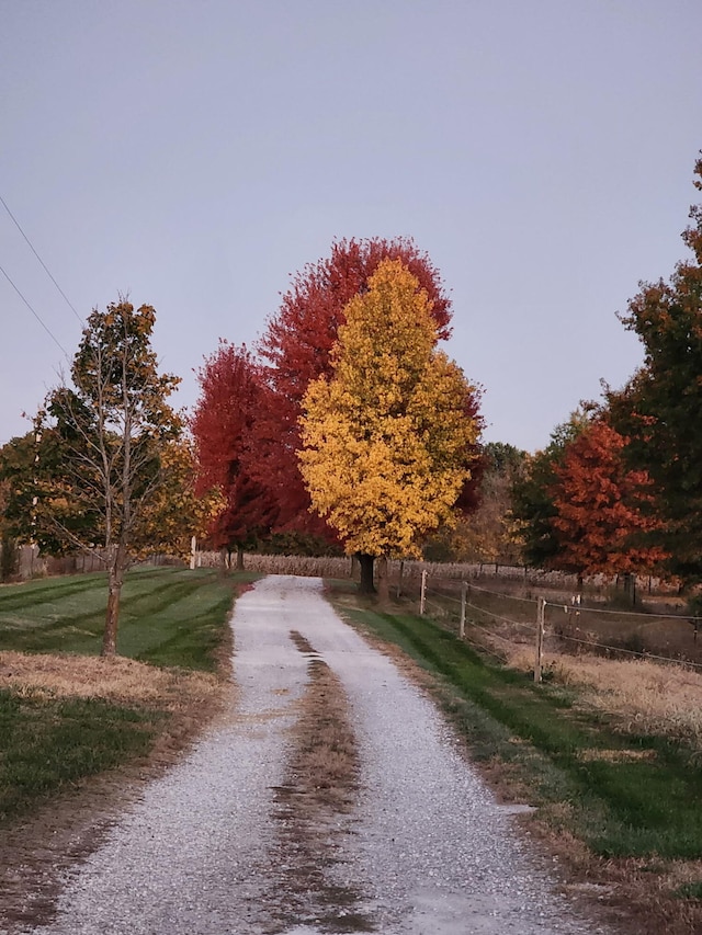 view of dirt / gravel road