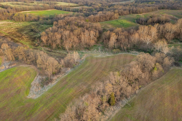 TBD Ostrich Place, Anabel, MO 63552 - photo 6