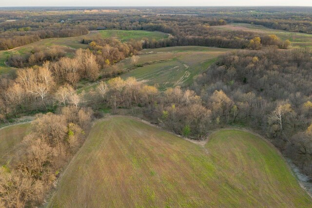 TBD Ostrich Place, Anabel, MO 63552 - photo 7