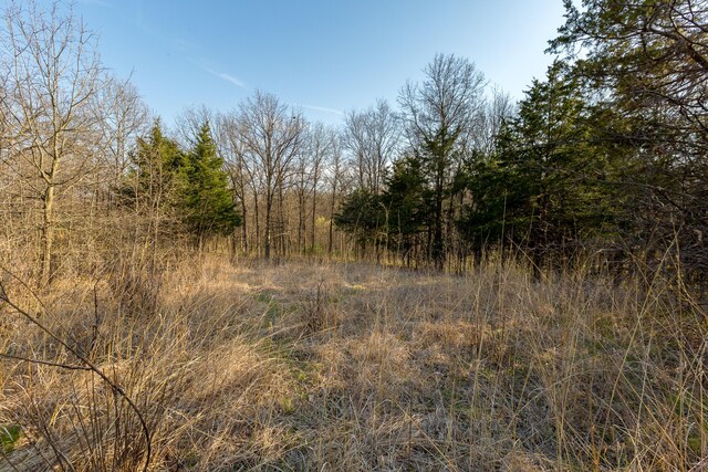 TBD Ostrich Place, Anabel, MO 63552 - photo 17