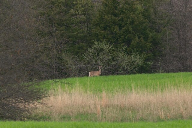 TBD Ostrich Place, Anabel, MO 63552 - photo 22