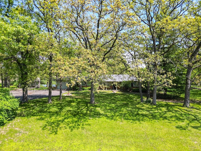 10155 E Union Church Rd, Centralia, MO 65240 - view of green lawn