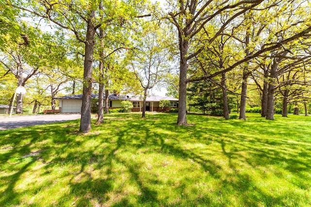 10155 E Union Church Rd, Centralia, MO 65240 - view of green lawn with driveway