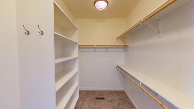 5492 Diversey Rdg, Columbia, MO 65203 - walk in closet with carpet floors