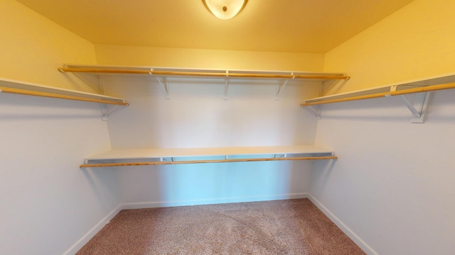5492 Diversey Rdg, Columbia, MO 65203 - walk in closet with carpet floors