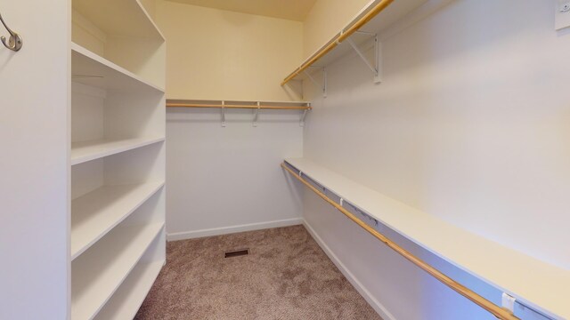 5492 Diversey Rdg, Columbia, MO 65203 - walk in closet with carpet