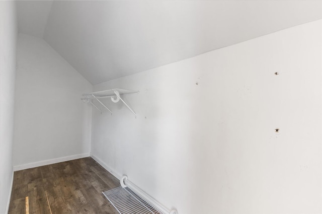 spacious closet featuring vaulted ceiling and wood finished floors