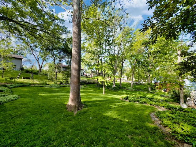 view of grassy yard