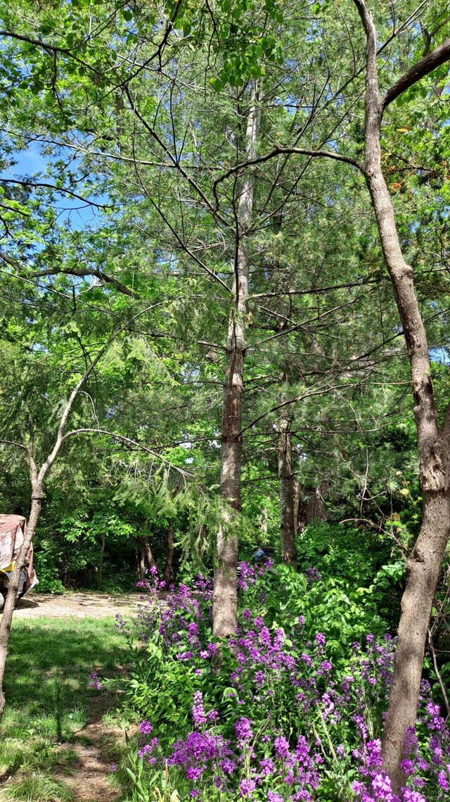 4200 S Rock Quarry Rd, Columbia, MO 65201 - photo 10