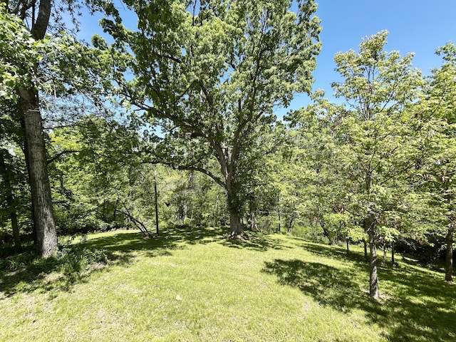 view of green lawn with a view of trees