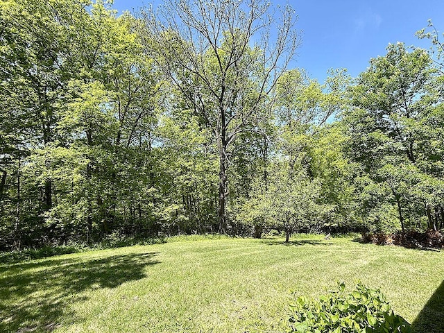 view of grassy yard with a forest view