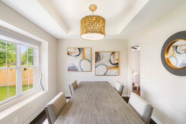 dining room with a tray ceiling and baseboards