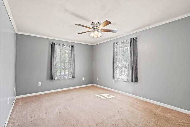 carpeted spare room with healthy amount of natural light, crown molding, a ceiling fan, and baseboards