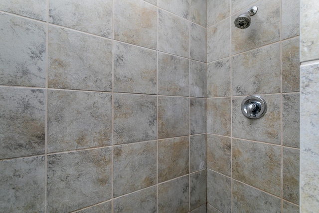 bathroom view of tiled shower