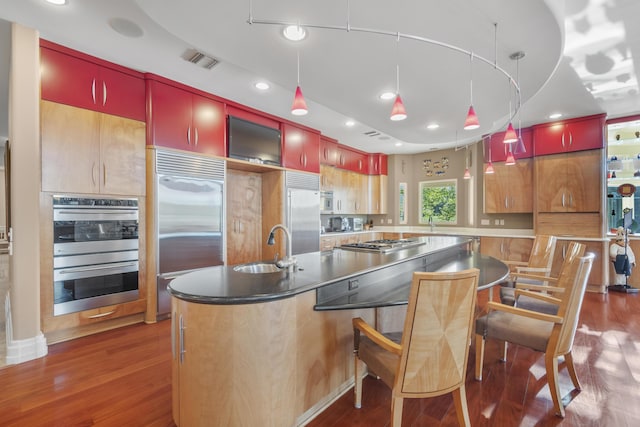 kitchen featuring appliances with stainless steel finishes, a sink, dark wood-style flooring, and recessed lighting