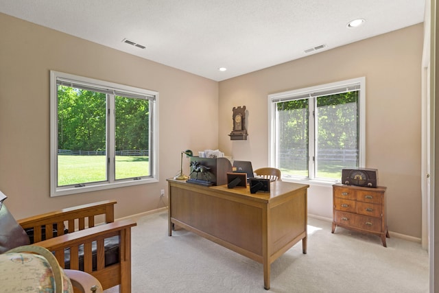 4700 E Deer Noll Rd, Columbia, MO 65201 - office with healthy amount of natural light, light carpet, baseboards, and recessed lighting
