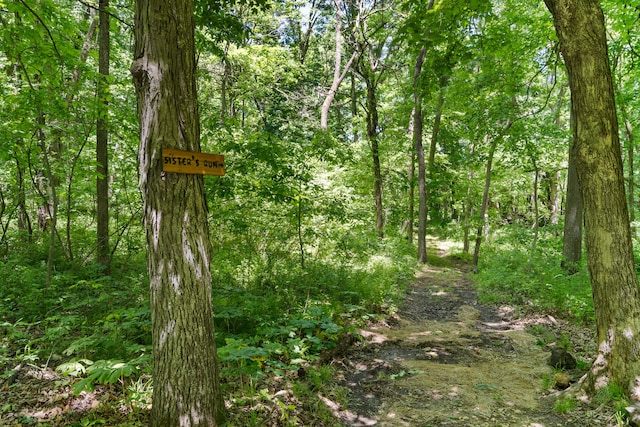 4700 E Deer Noll Rd, Columbia, MO 65201 - view of wooded area