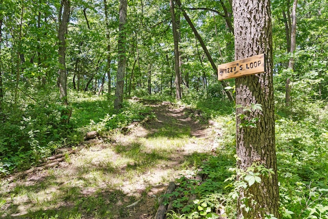 4700 E Deer Noll Rd, Columbia, MO 65201 - view of woods