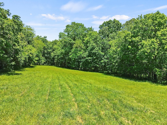 4700 E Deer Noll Rd, Columbia, MO 65201 - view of green lawn with a wooded view