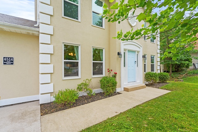 view of exterior entry with a yard and stucco siding