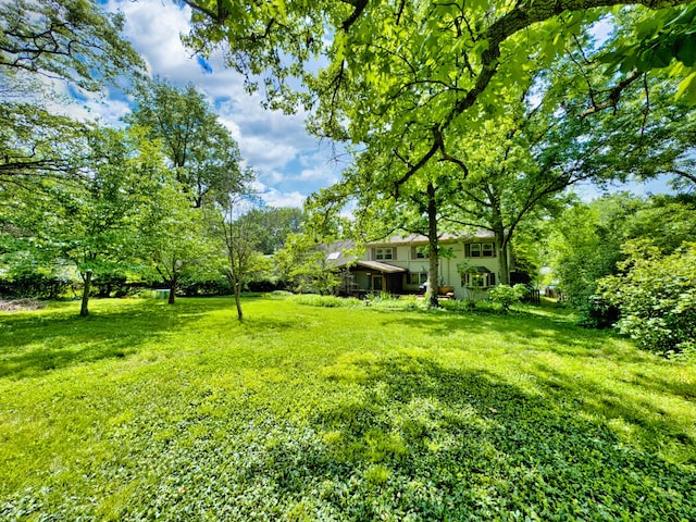 1209 Sunset Dr, Columbia, MO 65203 - view of green lawn