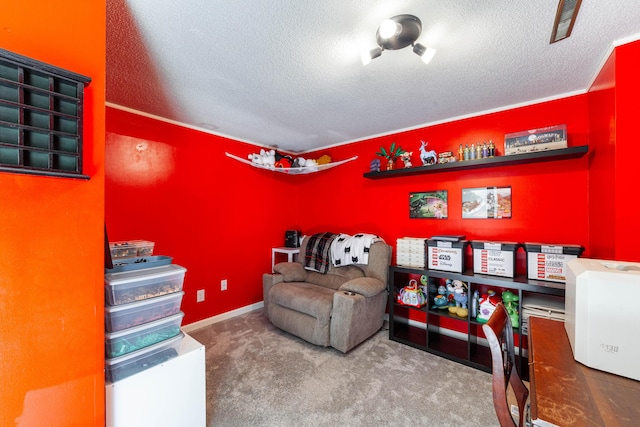 sitting room featuring a textured ceiling and carpet floors