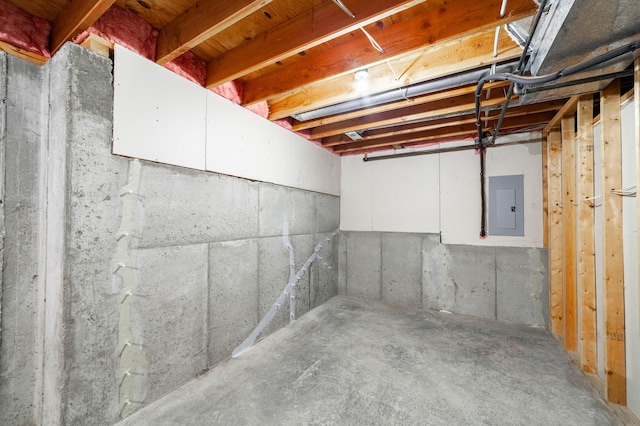 unfinished basement featuring electric panel