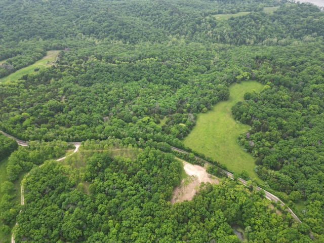 E Cedar Tree Ln, Hartsburg, MO 65039