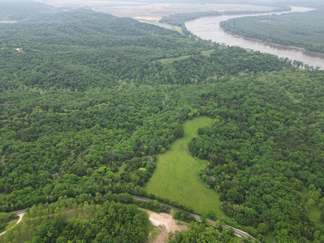 E Cedar Tree Ln, Hartsburg, MO 65039