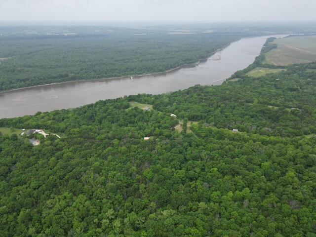 E Cedar Tree Ln, Hartsburg, MO 65039