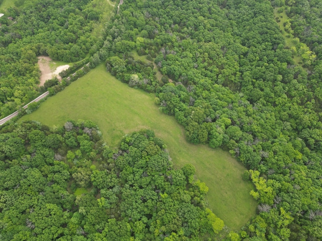 E Cedar Tree Ln, Hartsburg, MO 65039