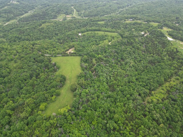 E Cedar Tree Ln, Hartsburg, MO 65039