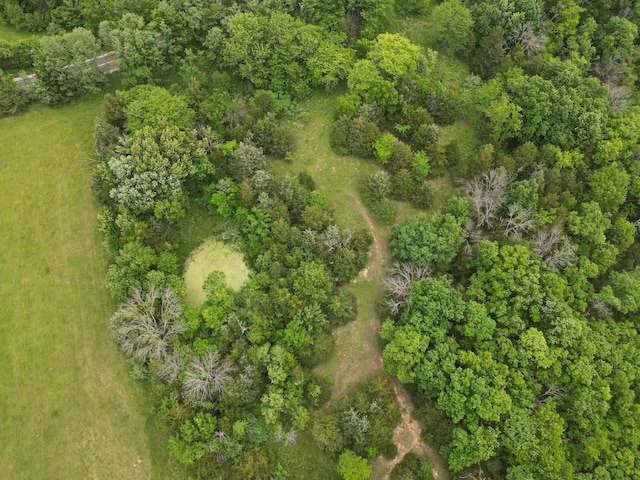 E Cedar Tree Ln, Hartsburg, MO 65039