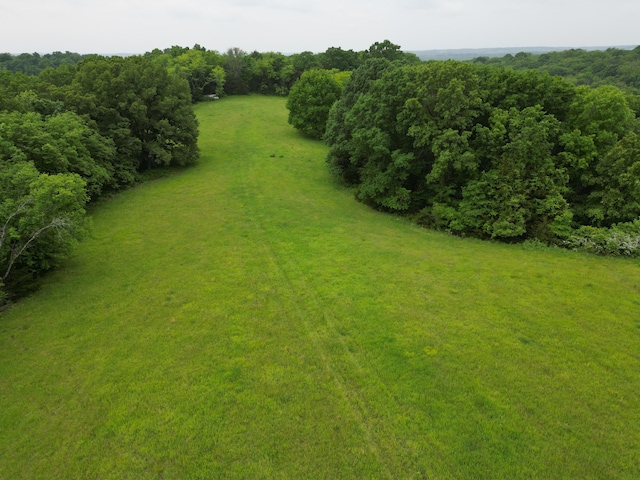 E Cedar Tree Ln, Hartsburg, MO 65039