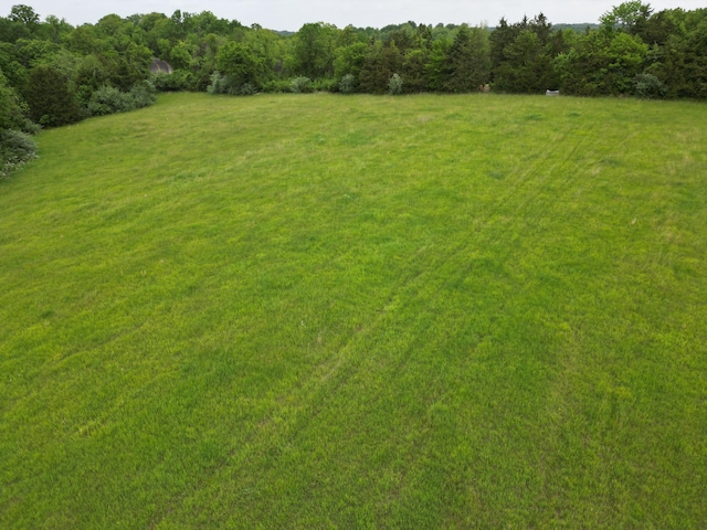 E Cedar Tree Ln, Hartsburg, MO 65039
