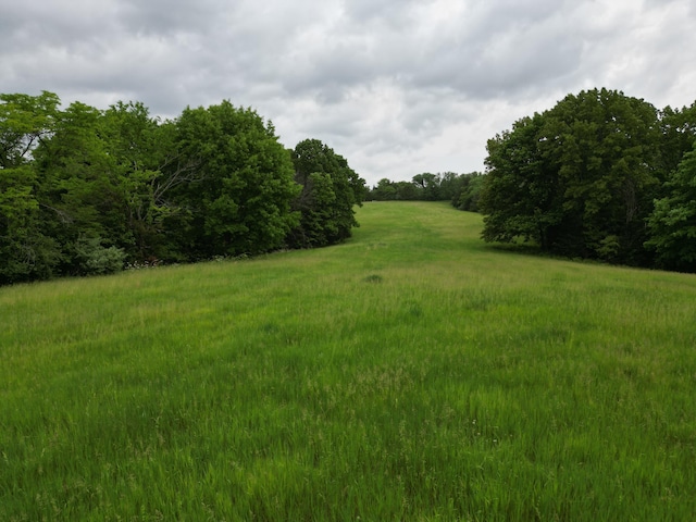 E Cedar Tree Ln, Hartsburg, MO 65039