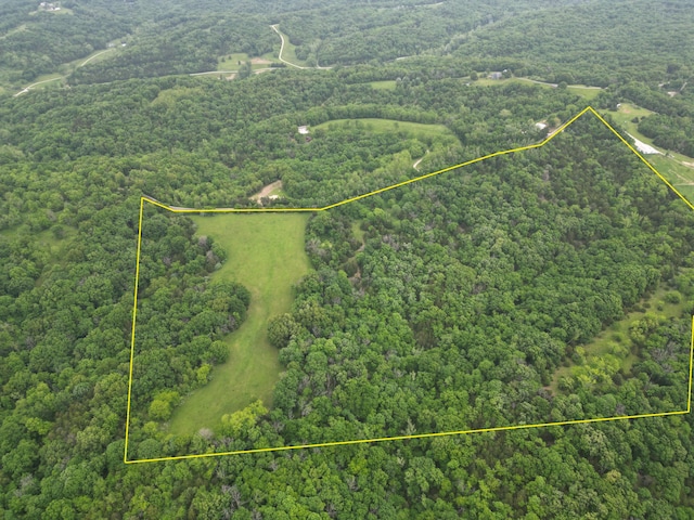 E Cedar Tree Ln, Hartsburg, MO 65039