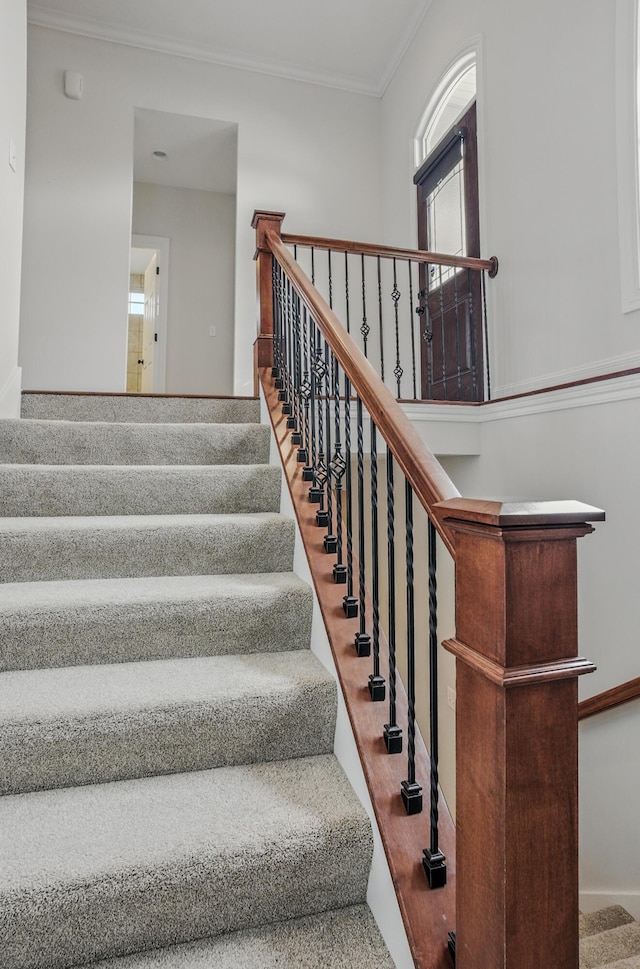 5300 Perche Pointe Pl, Columbia, MO 65203 - stairs with crown molding, carpet flooring, and baseboards
