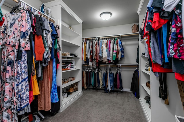 spacious closet featuring carpet flooring