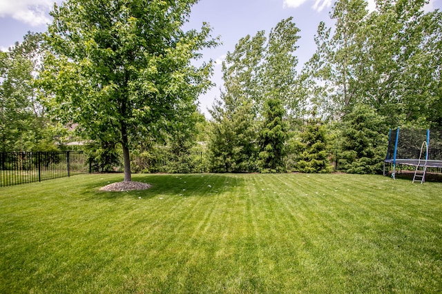 view of yard featuring a trampoline