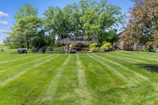 4710 Winding Wood Ct, Columbia, MO 65203 - view of green lawn