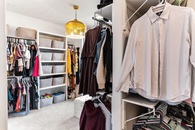 4710 Winding Wood Ct, Columbia, MO 65203 - walk in closet featuring carpet