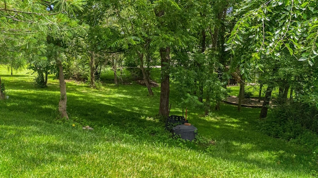 4710 Winding Wood Ct, Columbia, MO 65203 - view of grassy yard