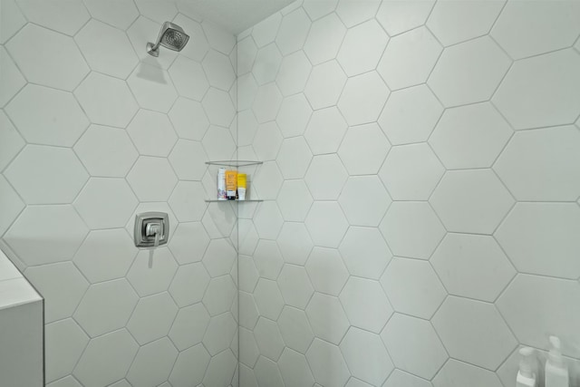 540 Angels Rest Way, Columbia, MO 65203 - bathroom view of tiled shower